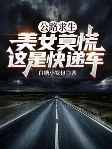 公路求生：美女莫慌，这是快递车